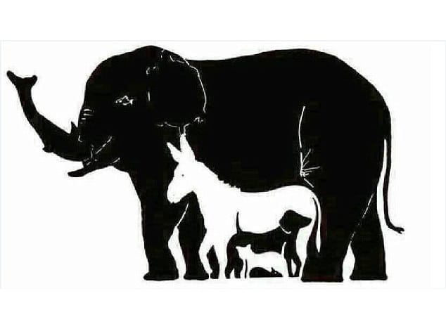 Gestalt e as leis que regem toda composição visual